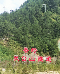 秦嶺天臺山隧道項目如何提高功率因數(shù)